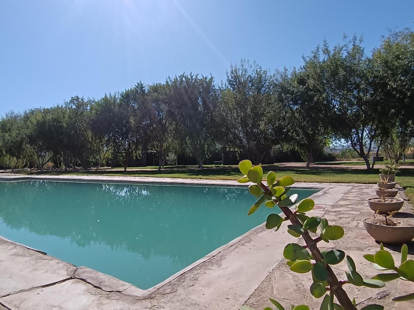 Kwelanga River Lodge Vioolsdrif Bagian luar foto